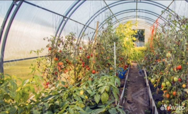 Теплица из поликарбоната в день заказа