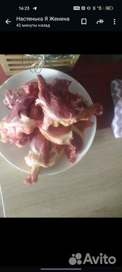 Утка домашняя мясо