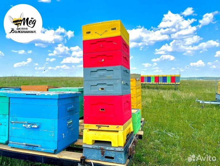 Мед свежий натуральный. Собственное производство