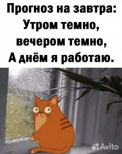 Сантехник,крупные И мелкие виды от А до Я