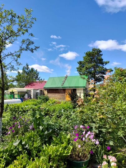 Дача 56 м² на участке 4,9 сот.