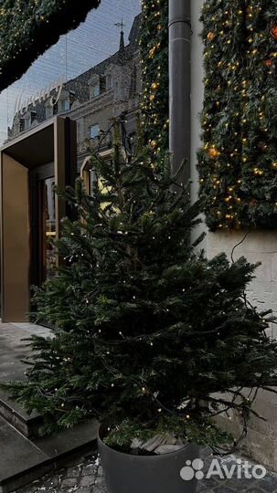 Гирлянда Роса 10-100м