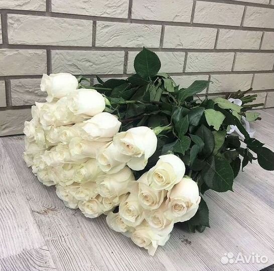 Высокие розы Гигантские розы 110