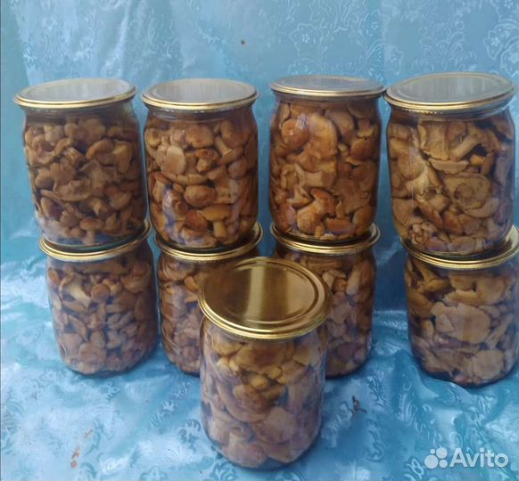 Грибы лисички