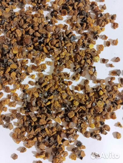 Перга отсев. Пенза 2023г