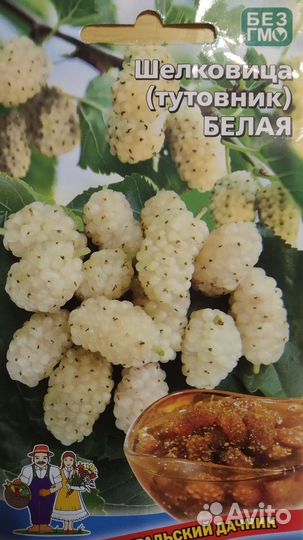 Саженцы шелковицы (тутовое дерево)