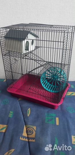 Клетка, крысята, корм, поилка, кормушка, домик