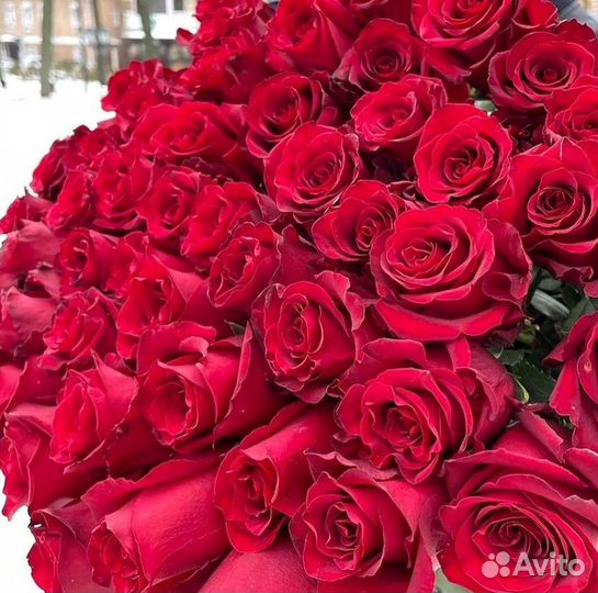 Высокие розы Букеты с доставкой