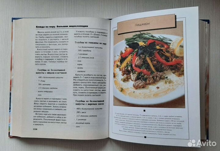 Новая Большая энциклопедия 