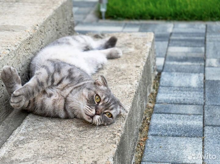 Тротуарная плитка Ландхаус