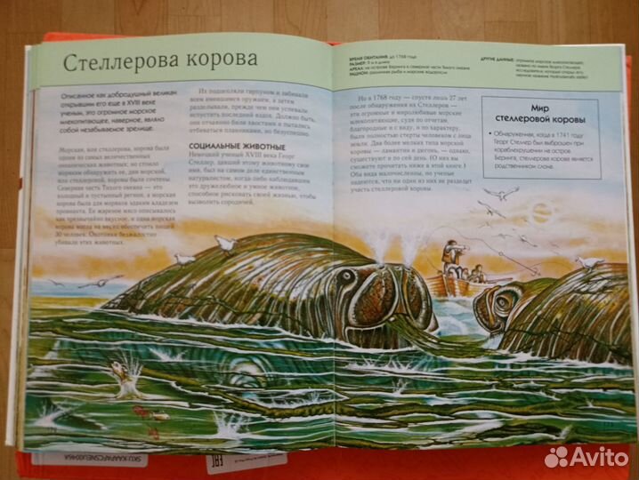 Книга энциклопедия 