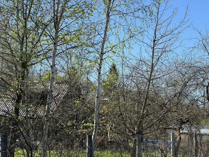 Участок 4,2 сот. (ИЖС)