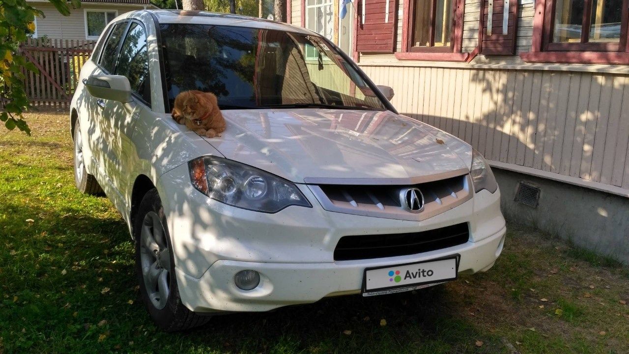 Acura RDX: фото владельца