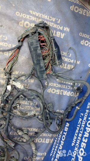 Проводка подкапотная Ford Focus 2 седан qqdb 2007