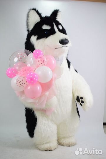 Хаски поздравление