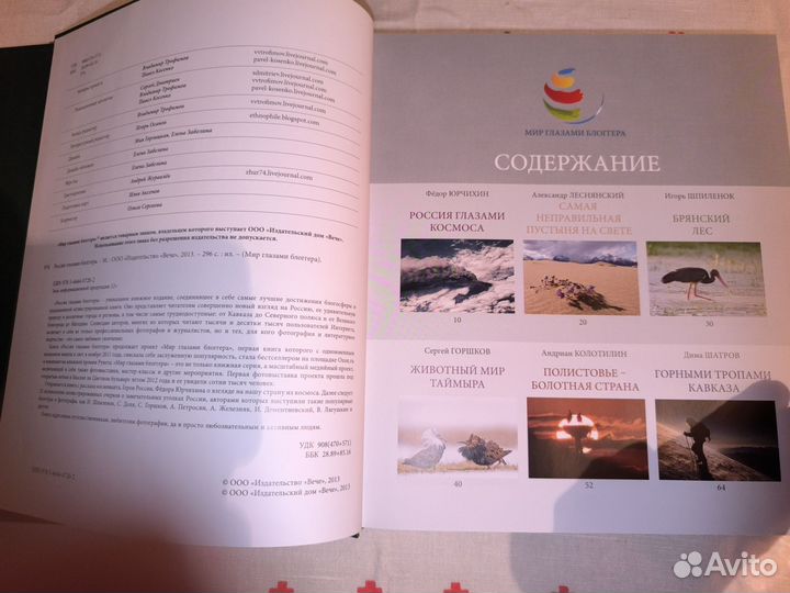 Книга Россия глазами блогера