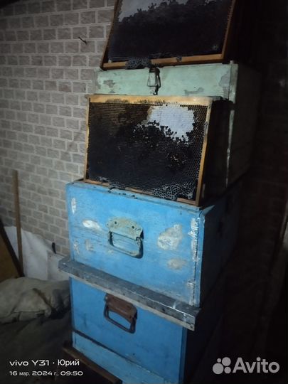 Продам сушь и тару