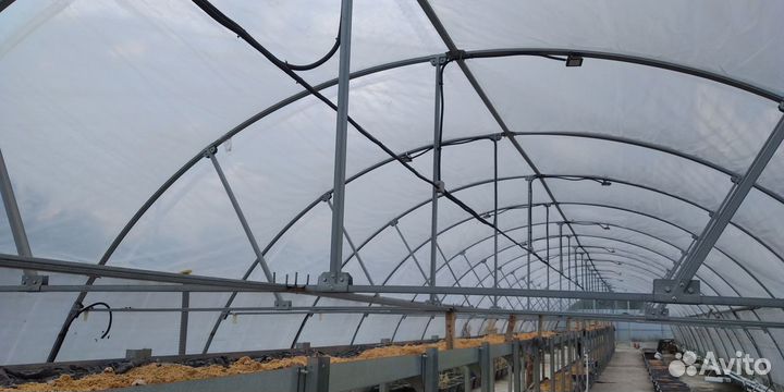 Теплица профессиональная