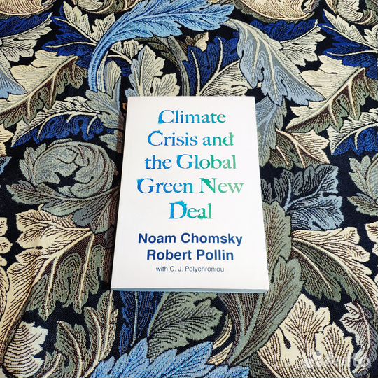 The Climate Crisis - Noam Chomsky