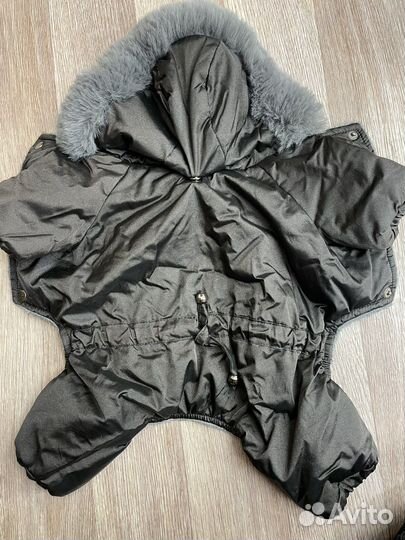 Одежда для собак