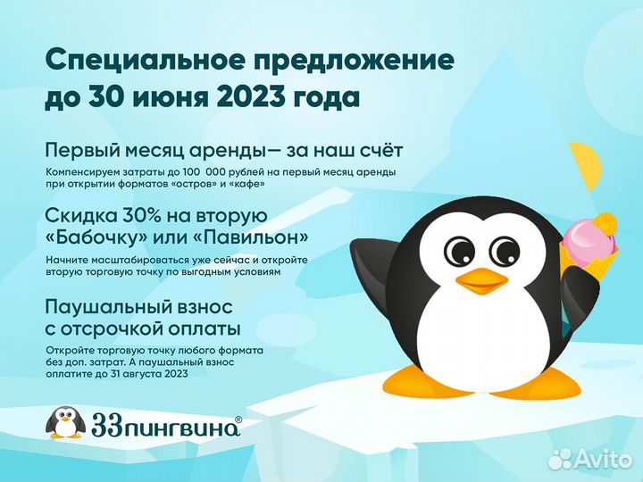 Франшиза мороженое «33 пингвина». Формат Павильон