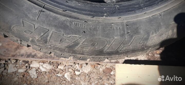 Tigar Sigura Stud 205/55 R16 200S