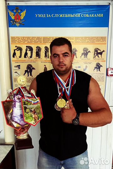 Дрессировка собак, кинолог