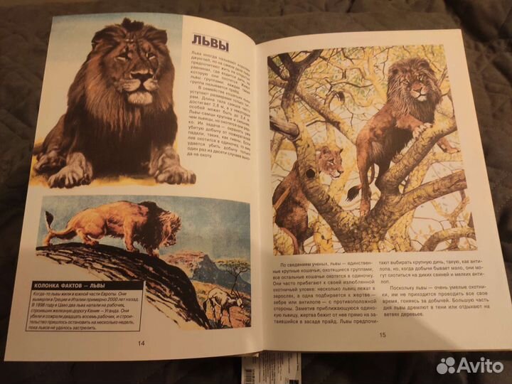 Энциклопедия животных