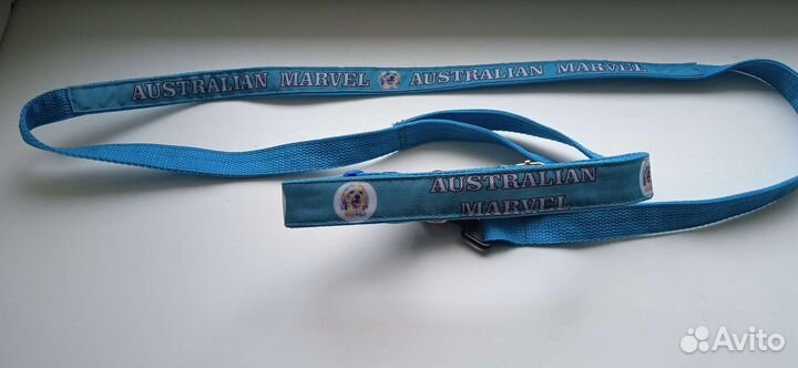 Ошейник с поводком