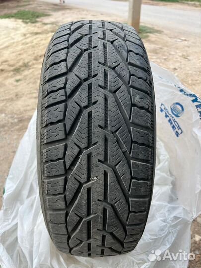 Tigar Winter 205/55 R16 94H