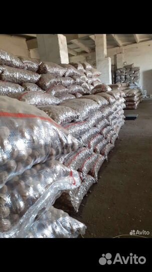 Грецкий орех