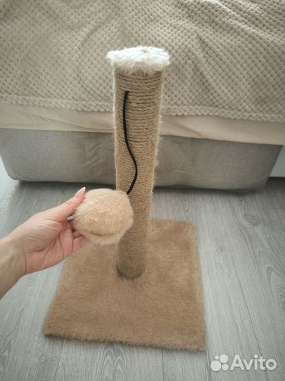 Когтеточка