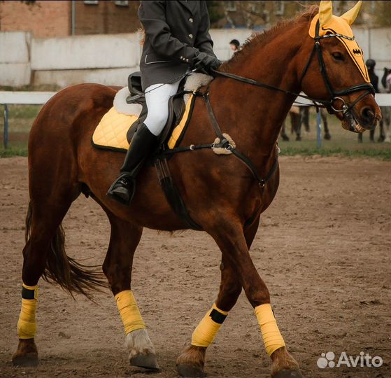 Вальтрап ушки бинты жёлтый комплект