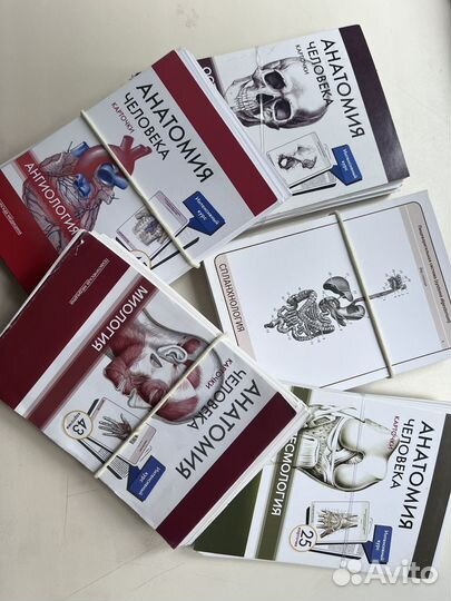 Карточки по анатомии