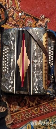 Баян беларусь