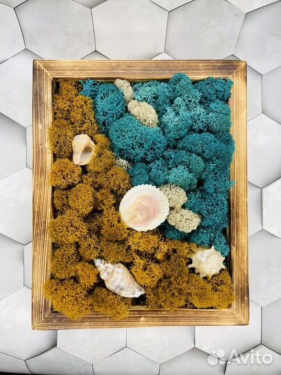 Картина из стабилизированного мха