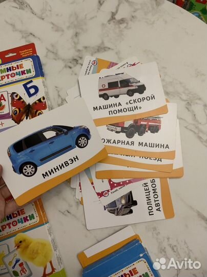 Развивающие карточки животные транспорт цвета