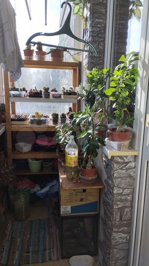 3-к. квартира, 50,9 м², 5/5 эт.