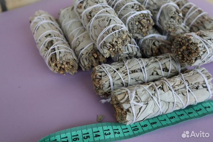 Шалфей Белый от 150шт опт для Озон