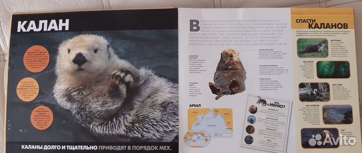 Книга для детей