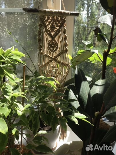 Подвесное кашпо макраме с дрифтвуд