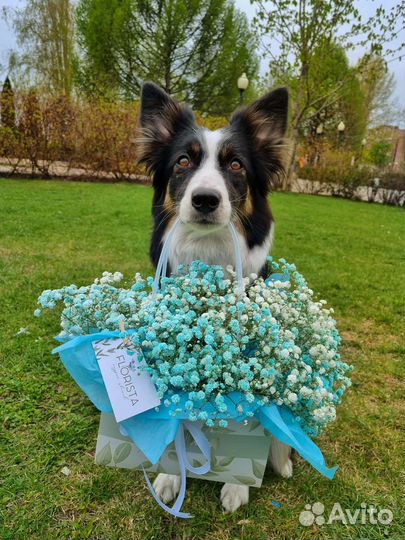 Сумочка из Гипсофилы