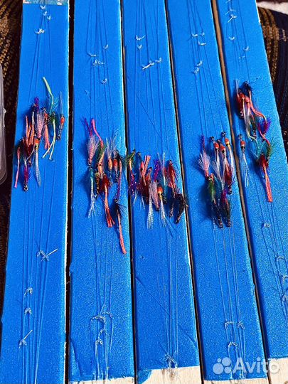 Омулевый настрой