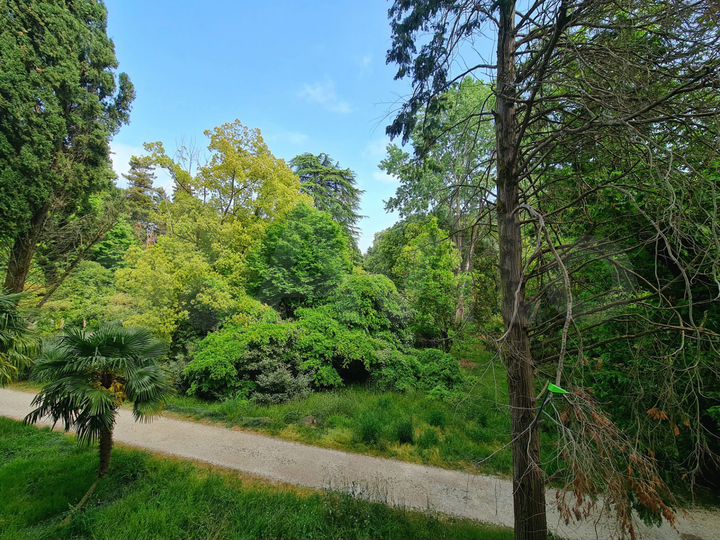 Квартира-студия, 30 м², 2/7 эт.