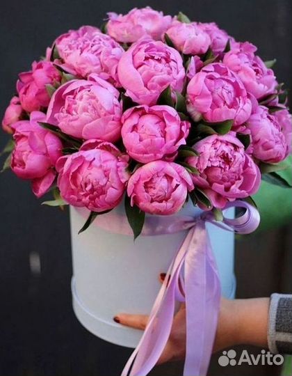 Пионы Букет пионов