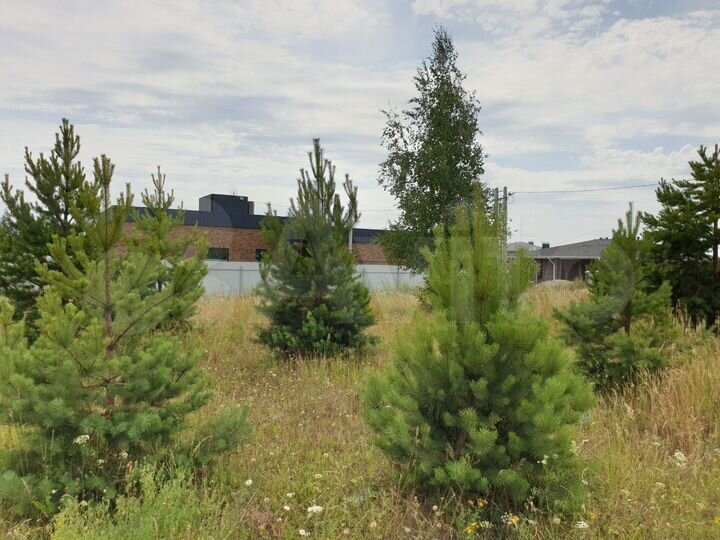 Участок 10 сот. (ИЖС)