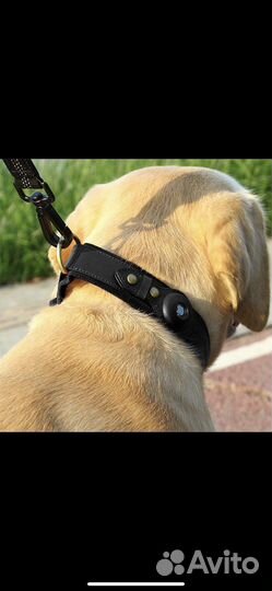 Ошейник нат.кожа для Air Tag (отслеживание)