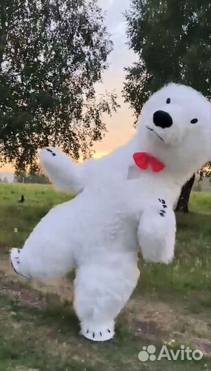 Белый мишка поздравление