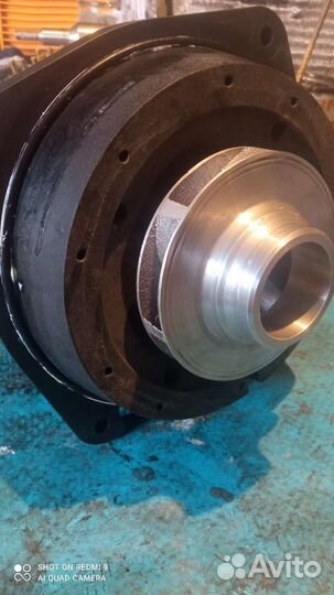 Kripsol Ondina Ninfa nk,OK,kapri KA, KAP, KS