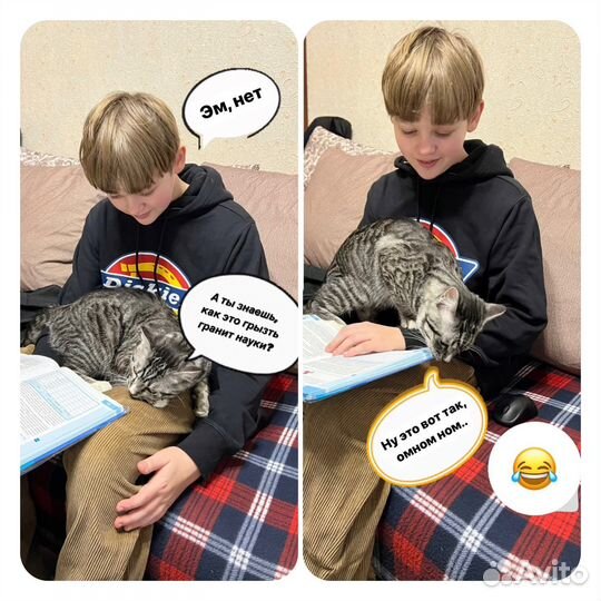 Репетитор по информатике